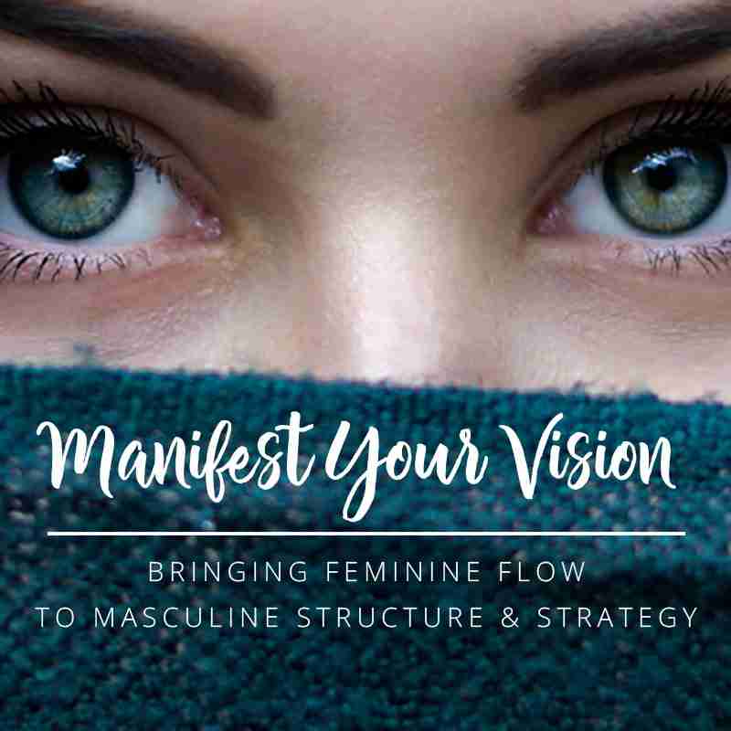 Manifest Your Vision Course Image