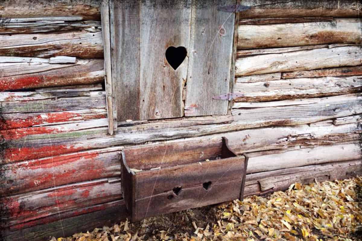 rustic log cabin and window box at colorado women's nature retreat avalanche ranch