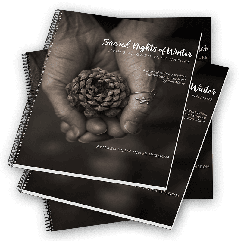 Sacred Nights of Winter Journal - Living Aligned with Nature; Holiday Journal; Holy Nights Journal; Christmas Journal; Spiral Bound Sacred Nights of Winter Journals (group of 4) with pinecone held in hands on the cover